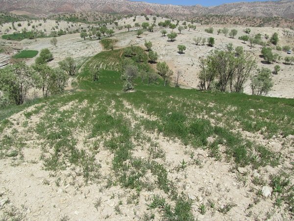 تعرض به منابع طبیعی - کوهدشت