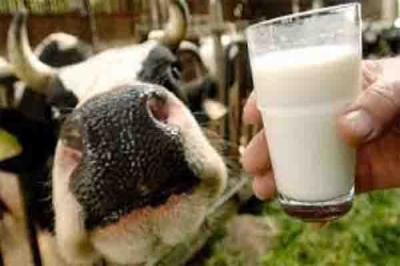 افزایش قیمت شیر در انتظار تأیید ستاد تنظیم بازار استان یزد