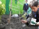 عملیات اجرائی ساخت مدرسه سبز در میبد آغاز شد