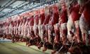 15 تن گوشت گرم به نرخ 43 هزار و 400 تومان از امروز در استان یزد توزیع می شود