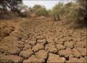 یزد، کم‌باران‌ترین استان کشور است/ خسارت 1100 میلیاردی خشکسالی به کشاورزی