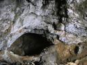 غار ناشناخته و پنهان در میبد با بقایای حیوانات ارزشمند!