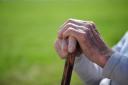 900 سالمند میبدی از حمایت‌های بهزیستی بهره‌مند هستند