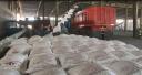 رونق تولید در تنها کارخانه تصفیه شکر استان در میبد
